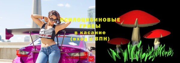 прущие крисы Абаза