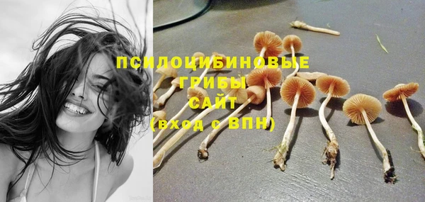 прущие крисы Абаза